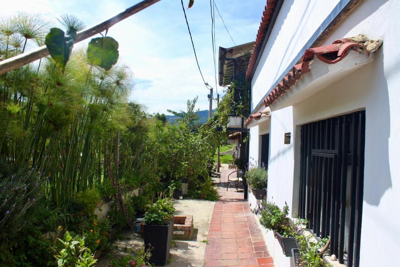 פאיפה Casa De Hospedaje Vivaio מראה חיצוני תמונה